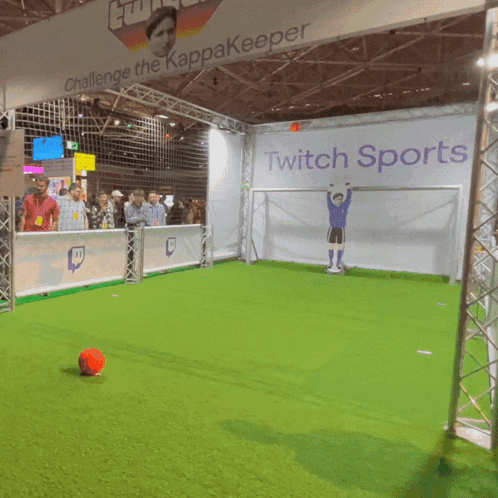 Random Guy Penalty Kicks GIF