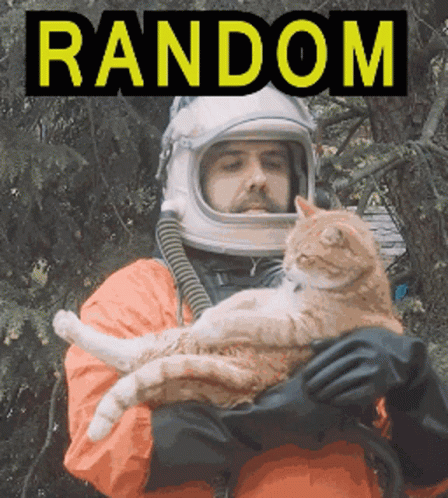 Random Scratching Cat Rescue Man GIF