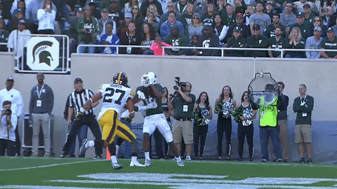 Randy Moss Mid Air Catch GIF