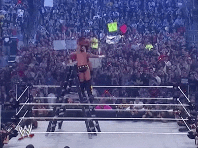 Randy Orton Ladder Dive GIF