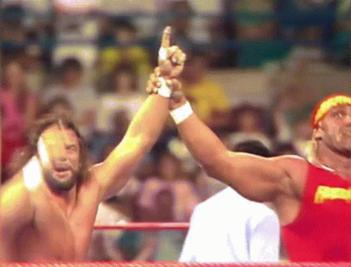 Randy Savage Hulk Hogan Image Compilation GIF