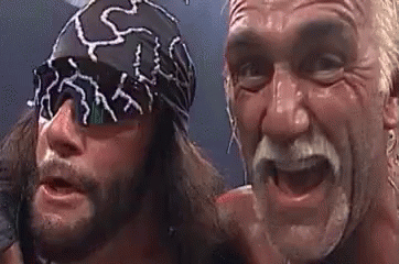 Randy Savage Hulk Hogan That Was Sweet GIF