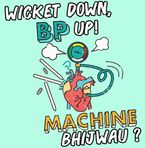 Rapid Animation Wicket Down High Blood Pressure GIF