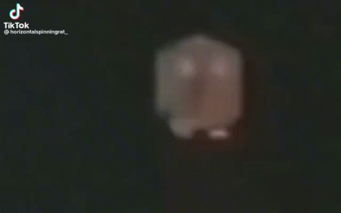 Rapid Spinning Rat Pointed Tail GIF