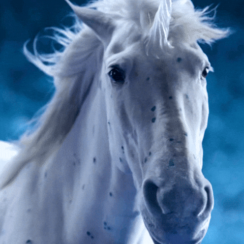 Rare Stud Ice Unicorn GIF