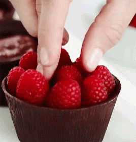Raspberry Arrange In The Cup GIF