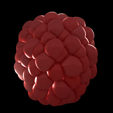 Raspberry 3d Loop Art GIF
