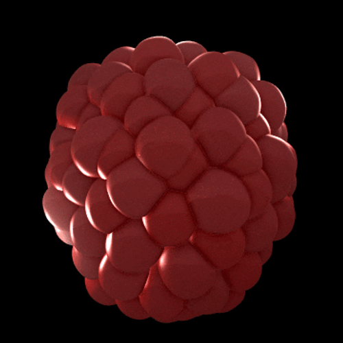 Raspberry 3D Loop Art GIF