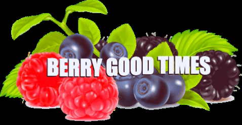 Raspberry And Berry Good Times GIF