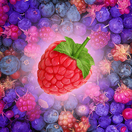 Raspberry And Cherry Art GIF