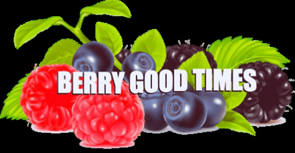 Raspberry And Berry Good Times GIF