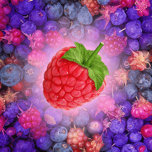 Raspberry And Cherry Art GIF