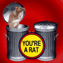 Rat Alternately Open Close Garbage Bin GIF