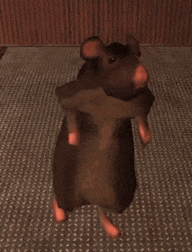 Rat Dance Gif GIF