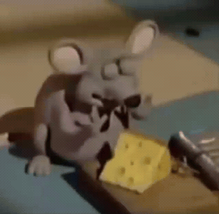 Rat Eating Cheese Meme GIF