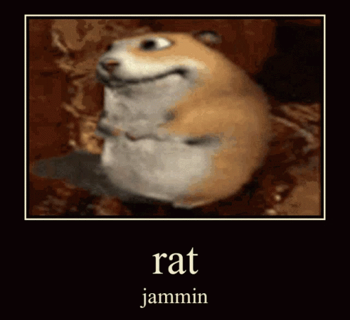 Rat Jammin On Herself Meme GIF