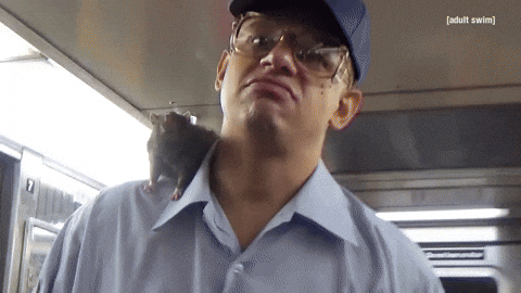 Rat Showering Race Until Die GIF