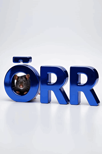 Rat Standing Before Blue R