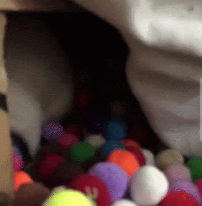 Rat Surrounded By Colorful Balls Meme GIF