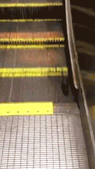 Rat Trap In The Escalator Movie GIF