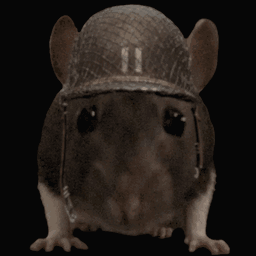 Rat Wearing Military Hat with 11