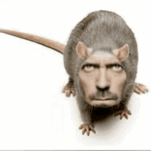 Rat with Man's Face