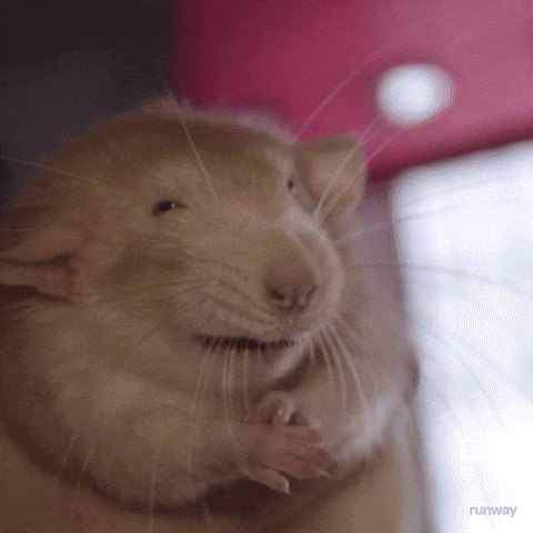 Rat with Runway Text