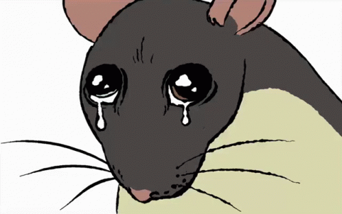 Rat with Tears