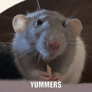 Rat with Yummers Text