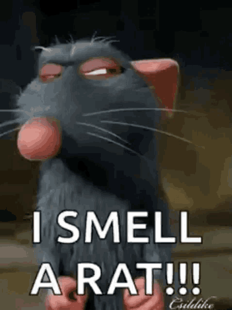 Ratatouille Gif GIF