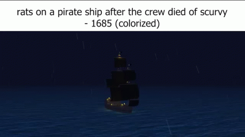 Rats On A Pirate Ship After The Crew Died Of Scurvy 1685 Colorized GIF