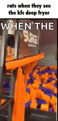Rats React To KFC Deep Fryer GIF
