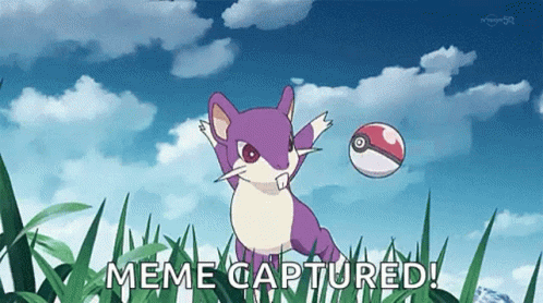 Rattata Pokemon Captured By Pokeball GIF