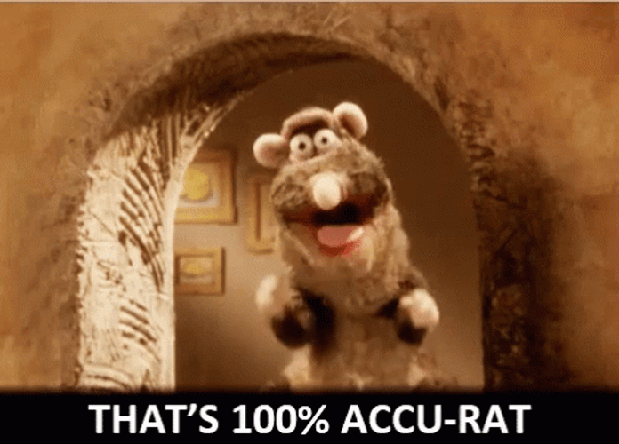 Rattus That's 100 Percent Accu-Rat GIF