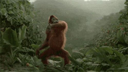 Rave On Gorilla Dancing GIF