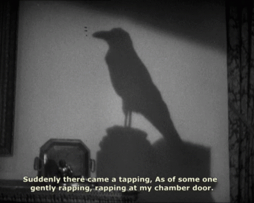 Raven Bird Shadow GIF