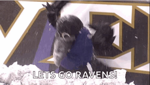 Raven In Snow Saying Let's Go Ravens GIF