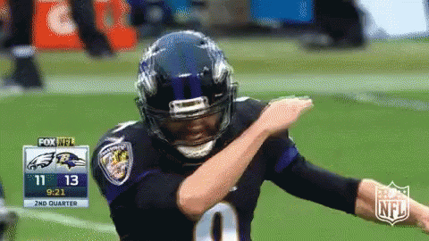 Ravens In Game GIF
