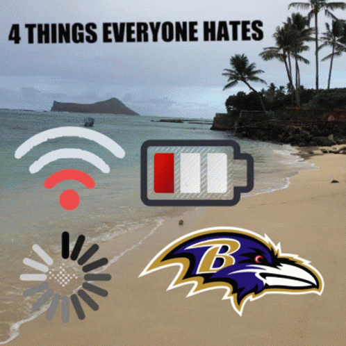 4 Things Everyone Hate Ravens GIF