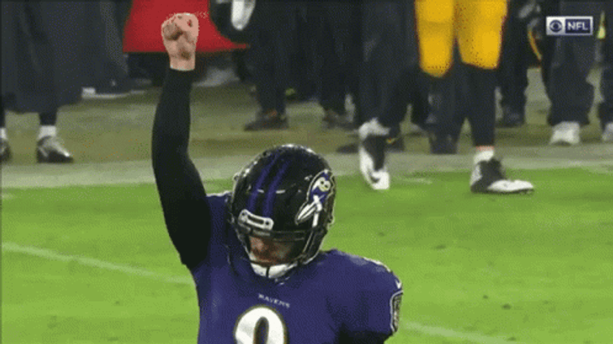 Ravens Enjoying The Moment GIF