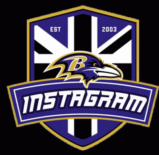 Ravens On Instagram GIF