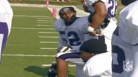 Ray Lewis Falling Down GIF