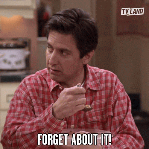 Ray Romano Set It And Forget It GIF