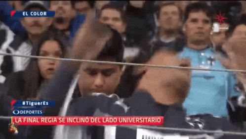 Rayado Llorando Rayados GIF