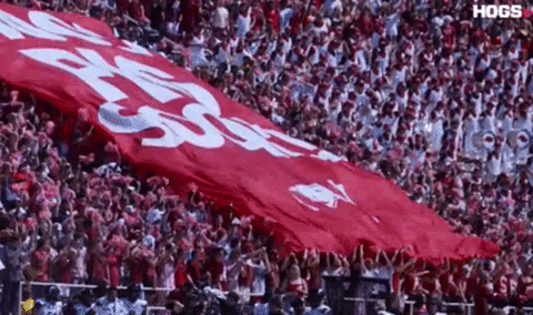 Razorbacks Fan Waving Red Flag To Cheer GIF