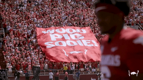 Razorbacks Fans Waving Flag To Cheer GIF