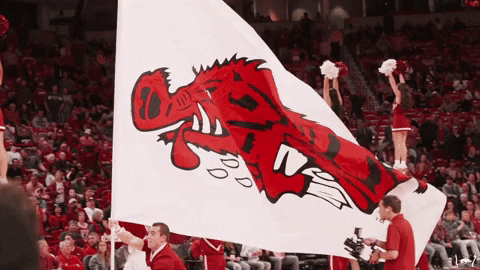 Razorbacks Flag Carried By Player GIF
