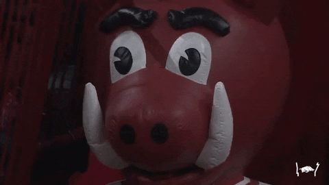 Razorbacks Mascot Clay Version GIF