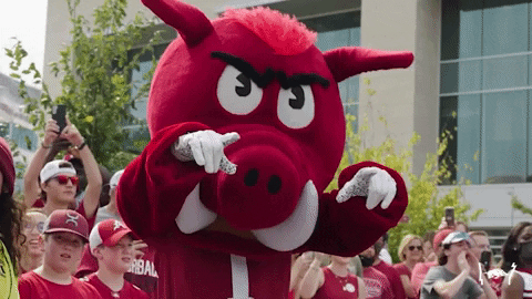 Razorbacks Mascot Posing GIF