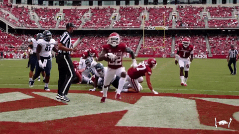 Razorbacks Player Celebrating Touchdown GIF